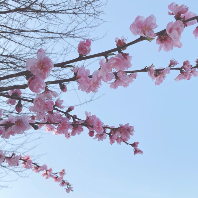 まなのタイムライン642409-08-24 09:32:07投稿画像