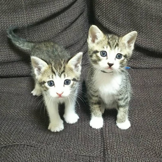 エマのタイムライン642412-06-07 21:38:27投稿画像