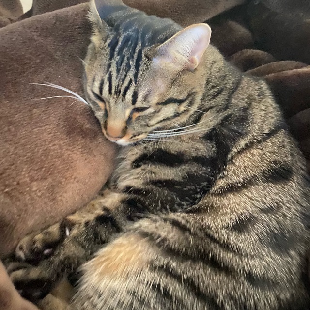 みぃのタイムライン642412-07-12 17:18:43投稿画像