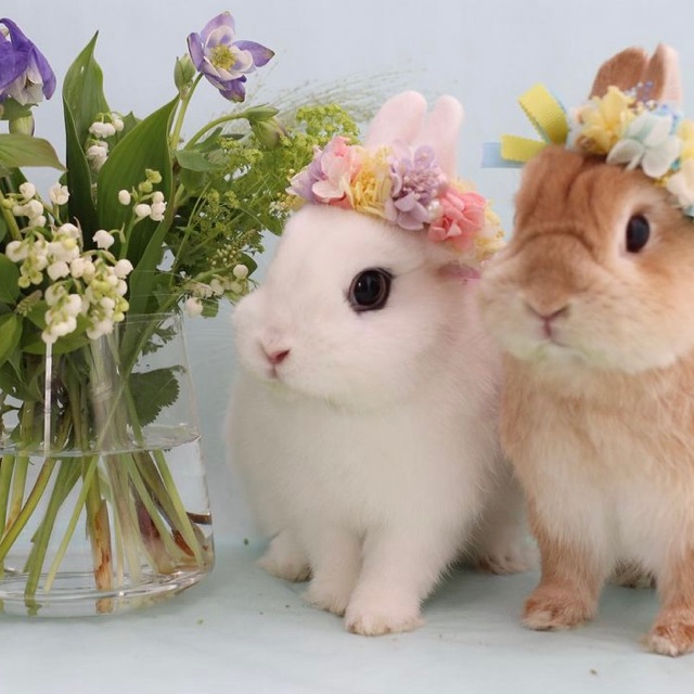 iaのタイムライン642415-04-27 12:20:38投稿画像