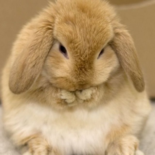 ぇみりのタイムライン642418-10-08 16:16:45投稿画像