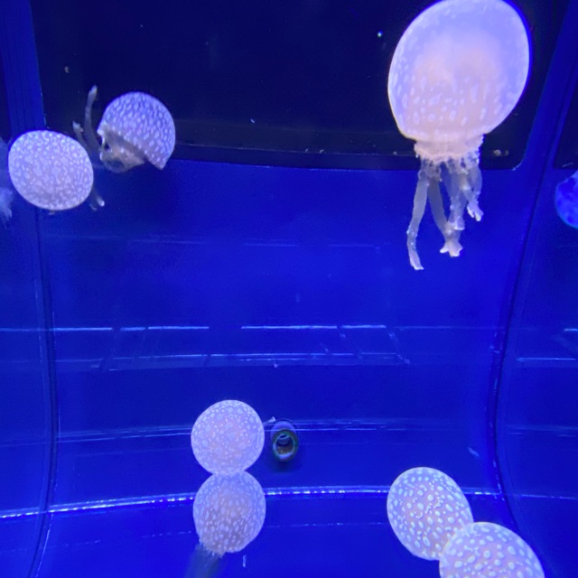 みんのタイムライン642418-10-09 16:38:48投稿画像