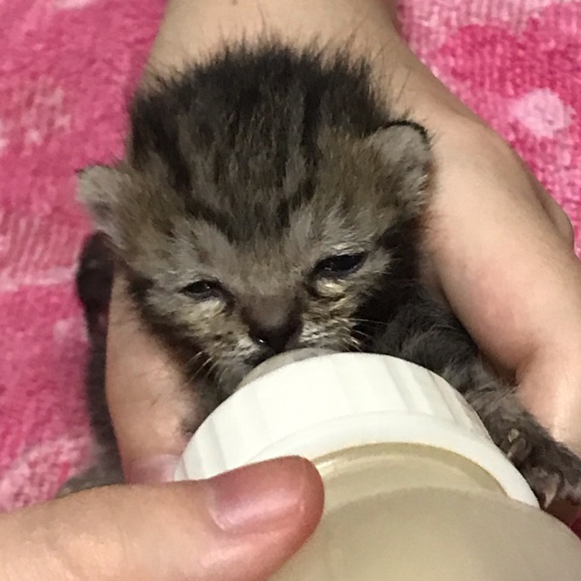 巳穂(みほ)のタイムライン642419-03-09 00:59:02投稿画像