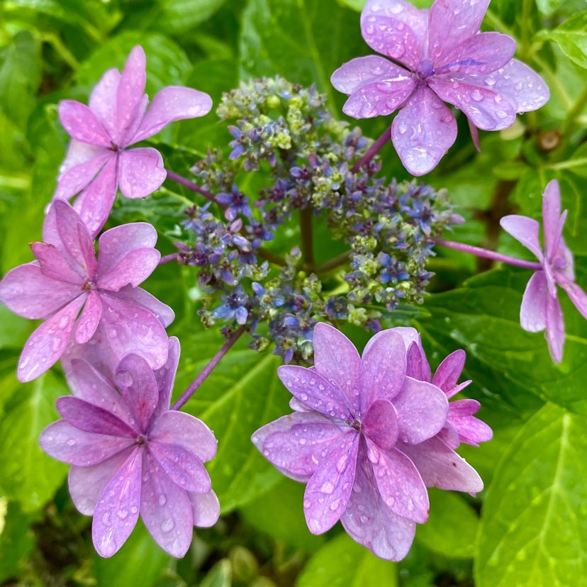 もか☆のタイムライン642421-09-30 09:35:20投稿画像