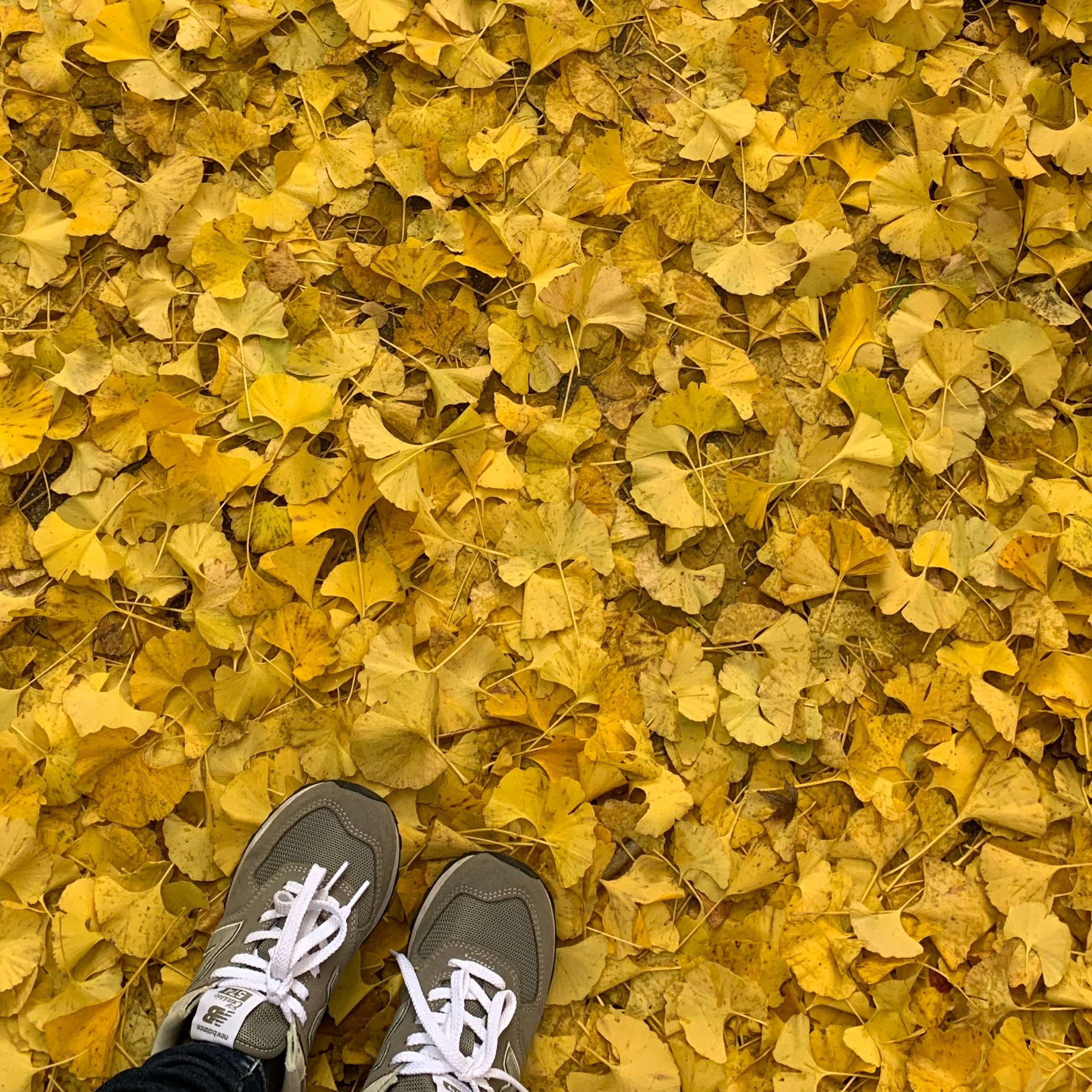 ななのタイムライン642422-03-24 08:48:44投稿画像