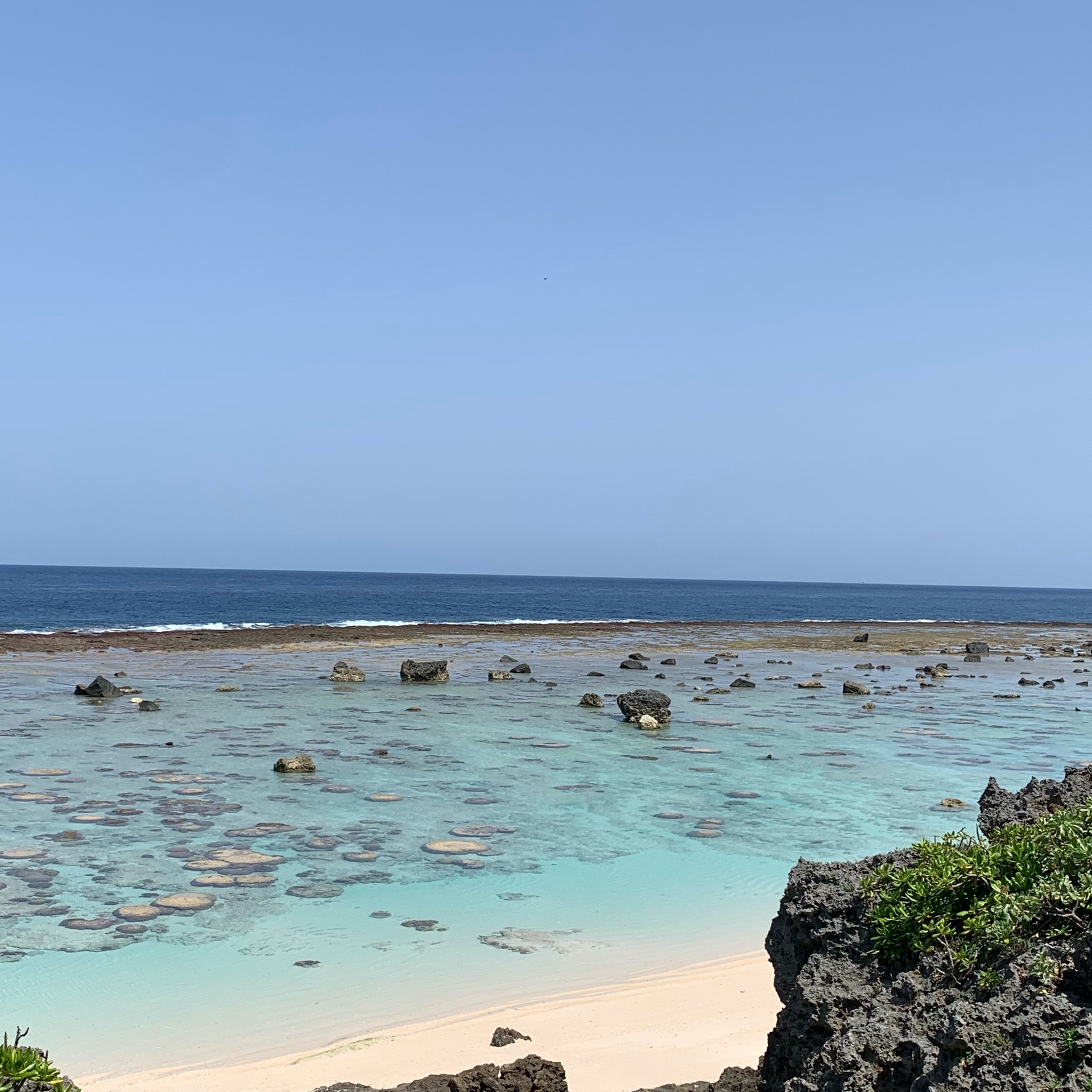 ななのタイムライン642422-03-24 08:50:40投稿画像