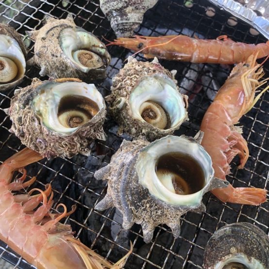 レイのタイムライン642425-01-29 17:40:10投稿画像