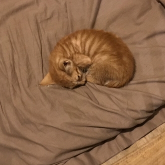 きこのタイムライン642425-04-20 02:48:56投稿画像