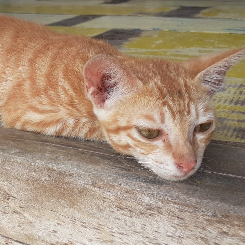 きこのタイムライン642428-02-02 20:07:13投稿画像