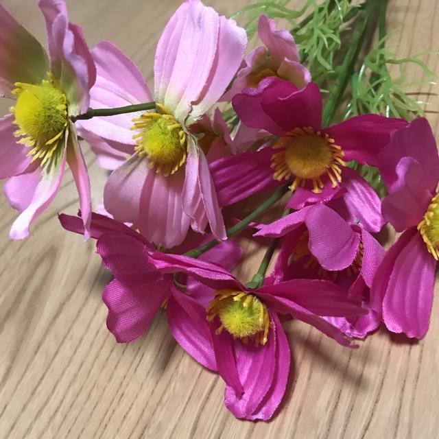 かなえのタイムライン642428-05-15 11:50:44投稿画像