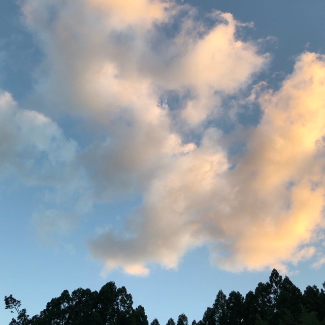 エリのタイムライン642428-07-24 18:37:35投稿画像