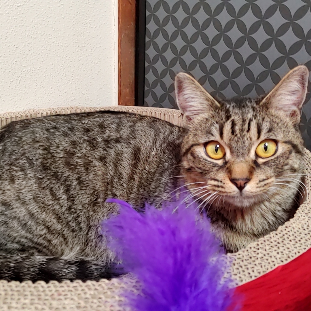 さやのタイムライン642431-04-16 10:32:28投稿画像