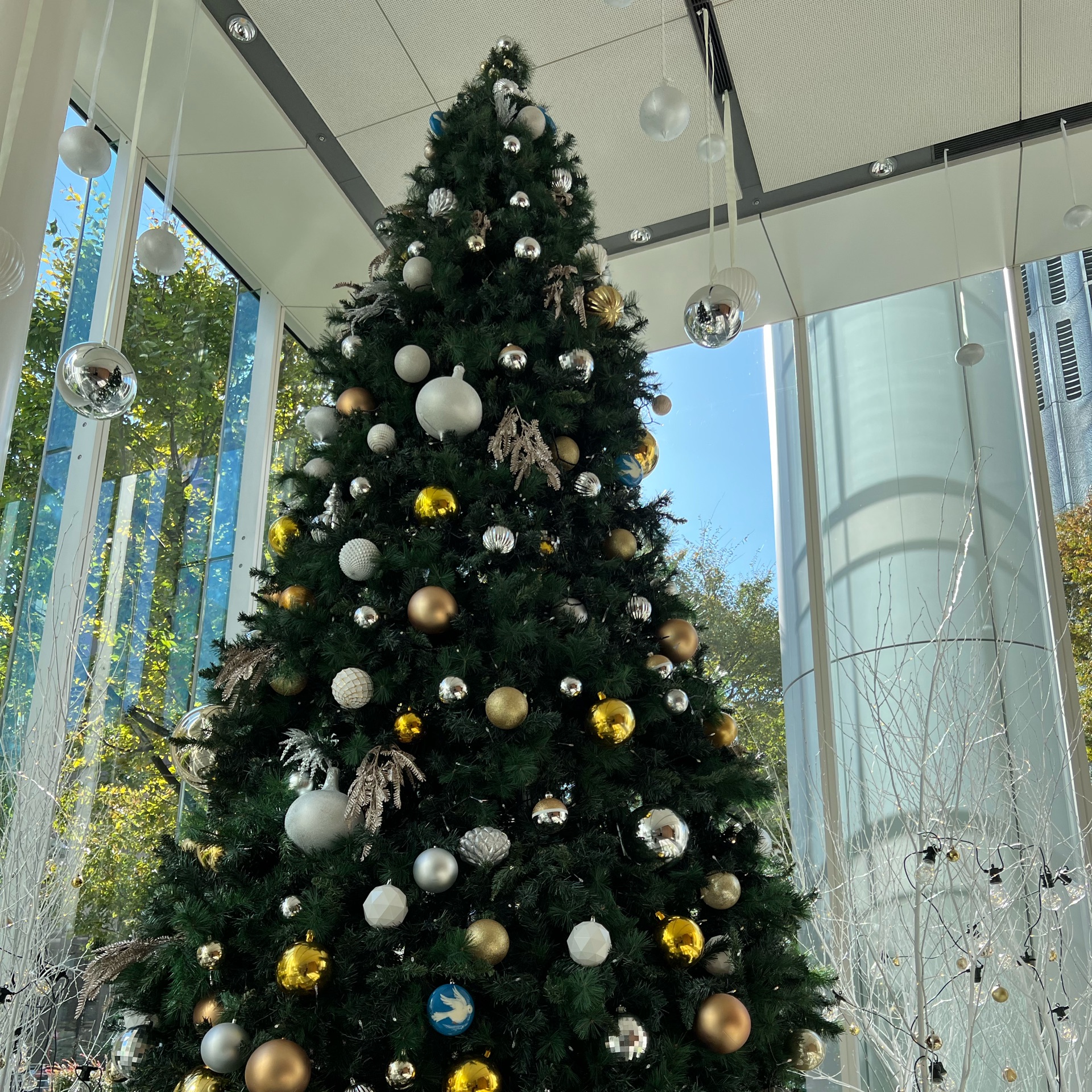 yu_koのタイムライン642434-12-17 16:03:47投稿画像