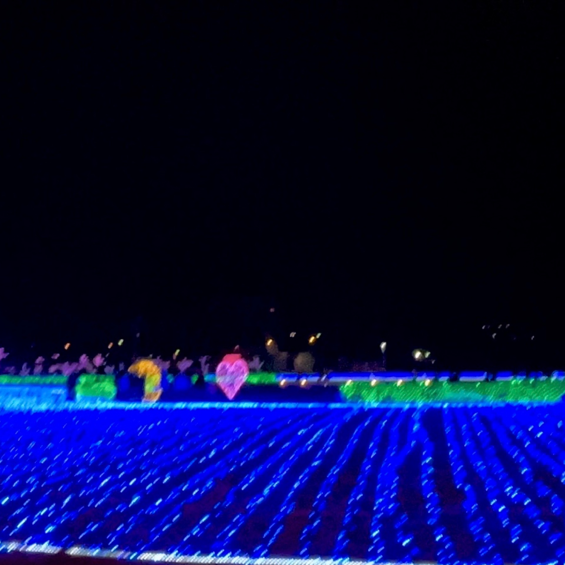 みなみのタイムライン642438-03-03 01:28:37投稿画像