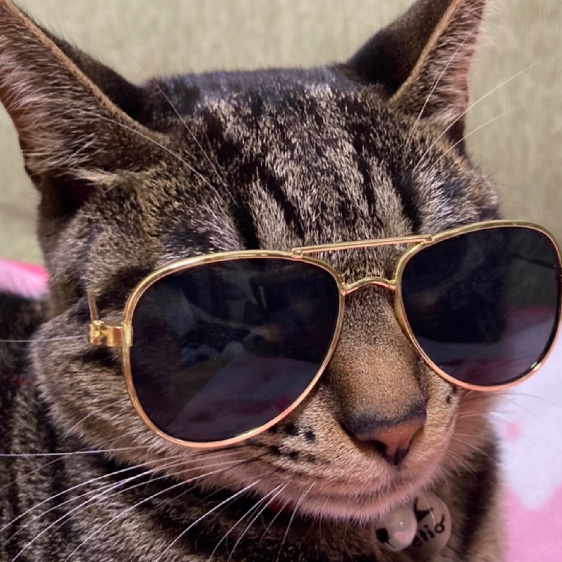 みなみのタイムライン642719-08-29 05:18:44投稿画像