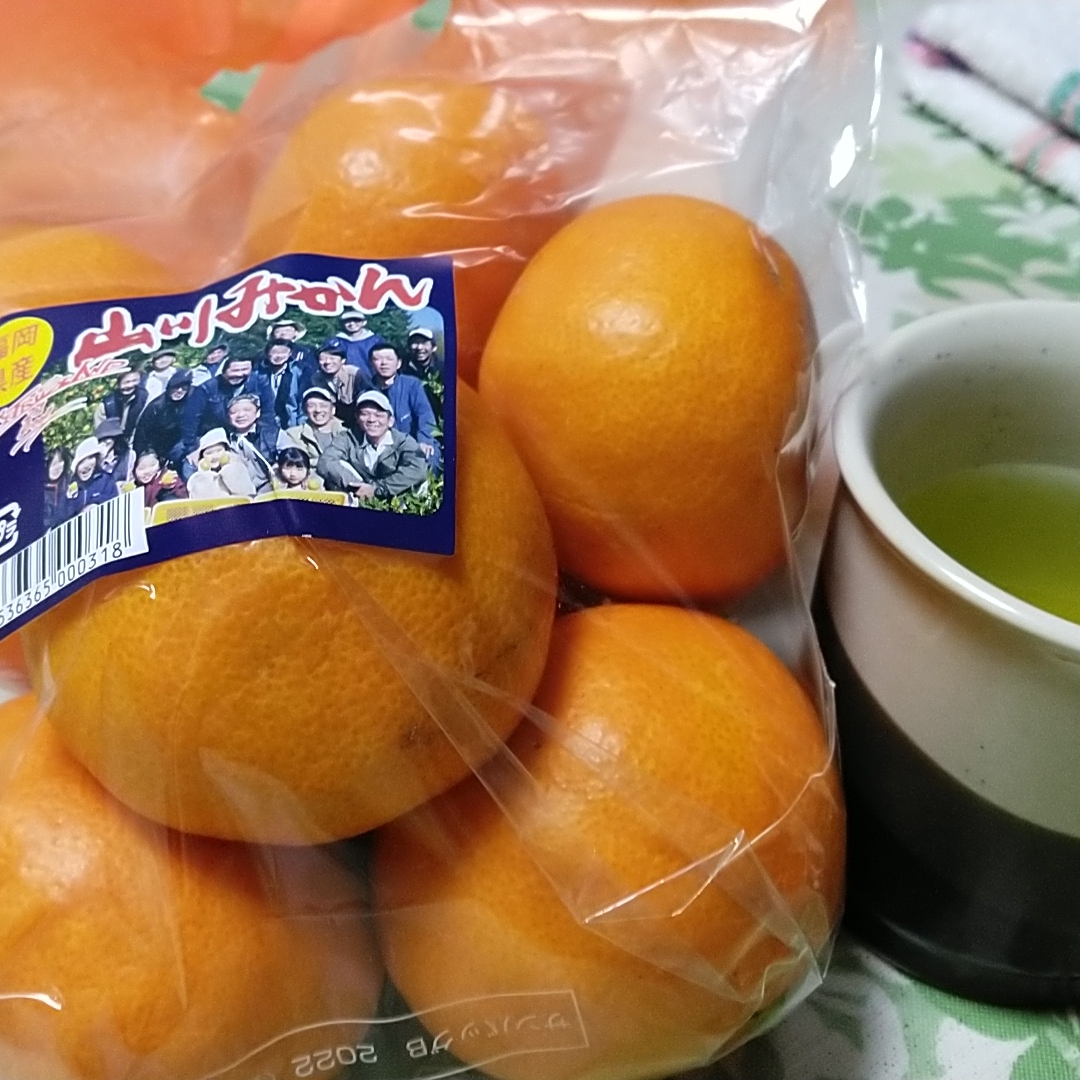 マミのタイムライン642719-11-19 02:53:56投稿画像