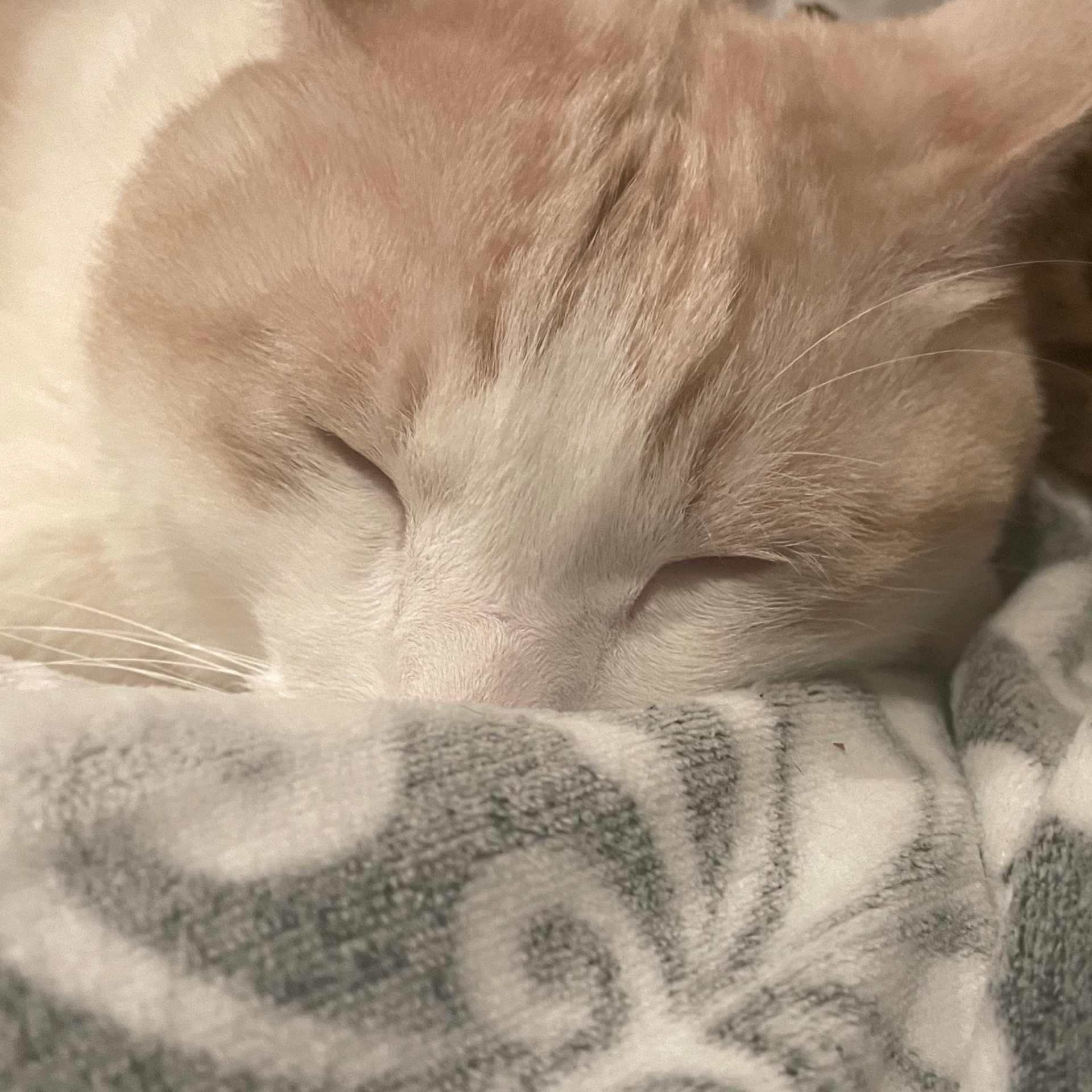 ゆかりのタイムライン642723-03-28 19:35:27投稿画像