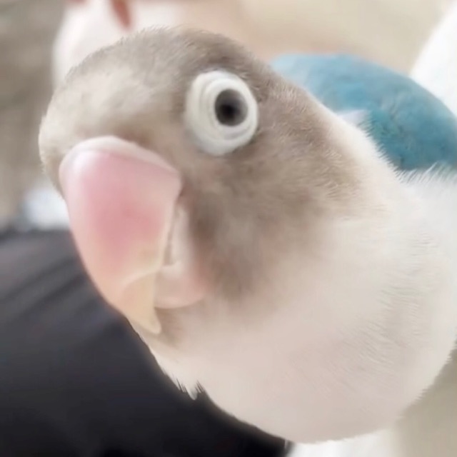 れいんのタイムライン2022-02-20 02:18:53投稿画像