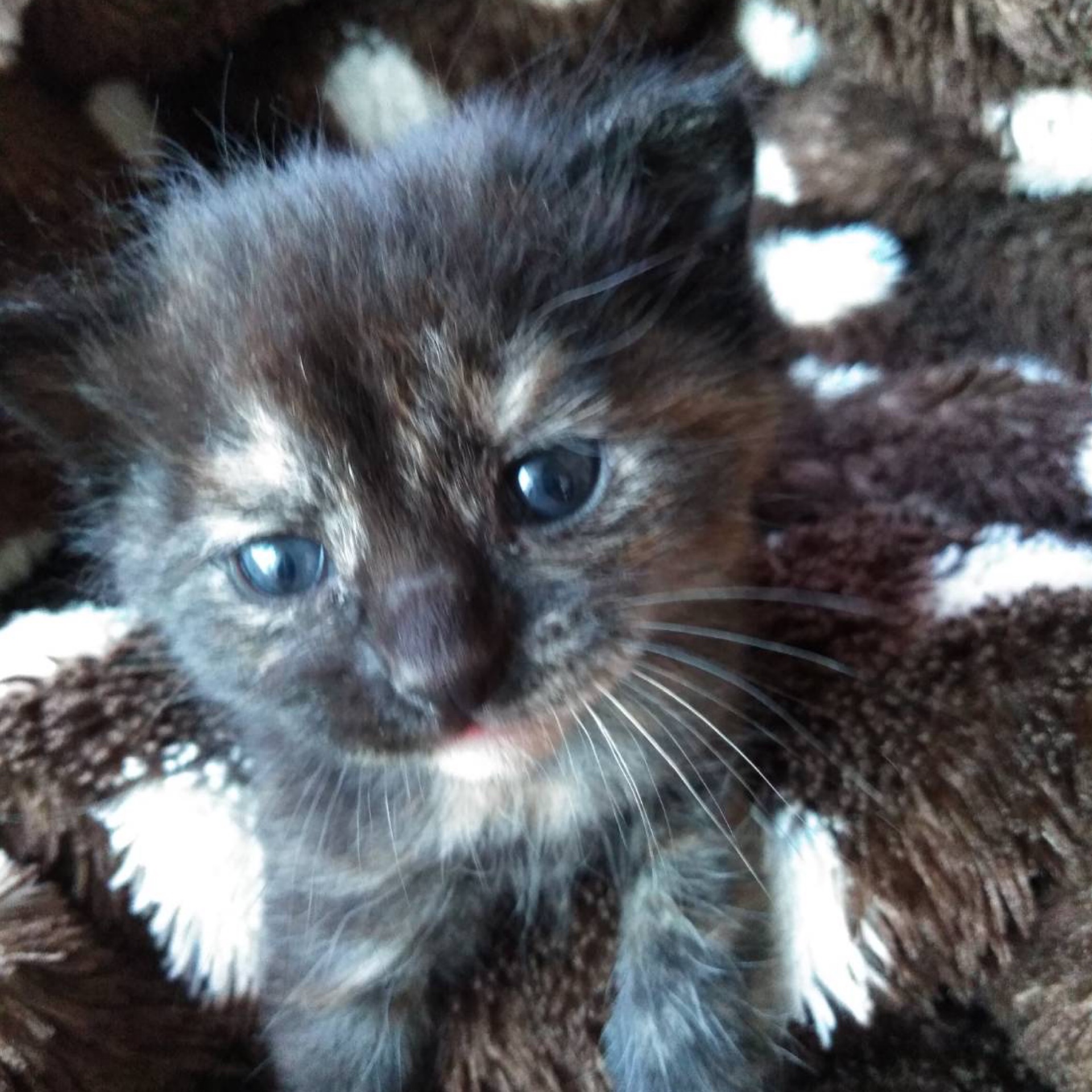 ひめかのタイムライン642723-06-06 01:40:17投稿画像