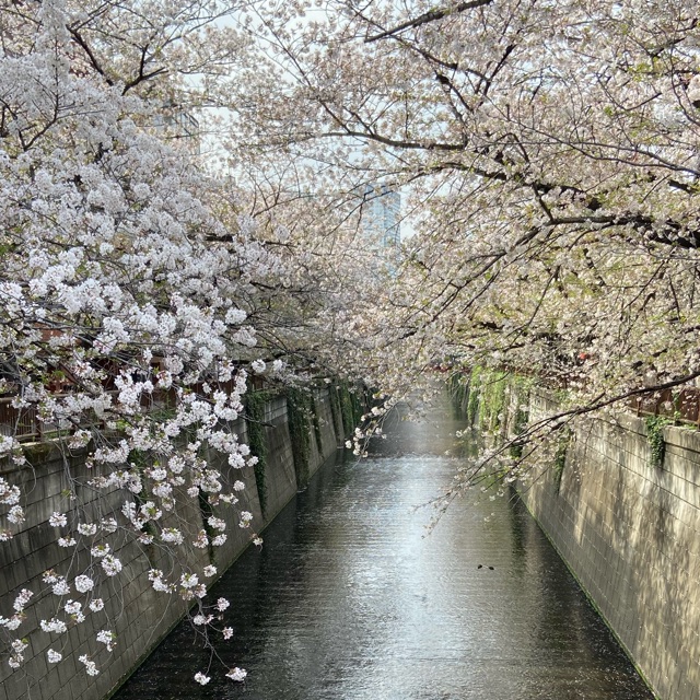 ぴ！のタイムライン642726-01-22 18:12:20投稿画像