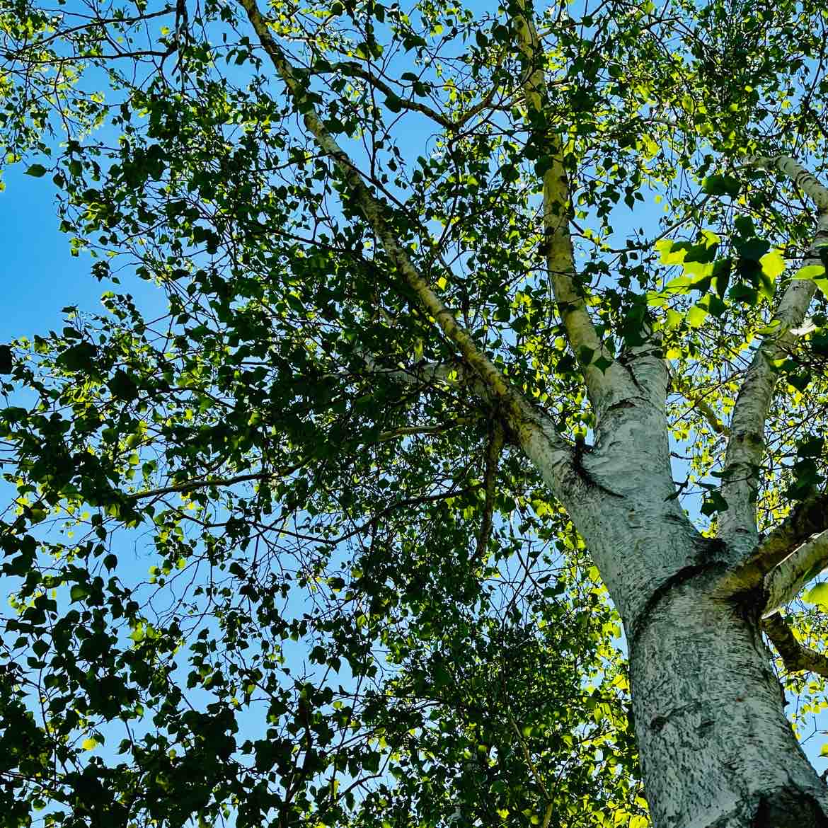 もか☆のタイムライン642732-04-07 12:59:18投稿画像