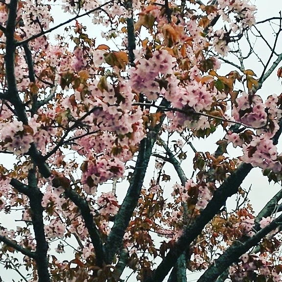 さなのタイムライン642732-06-16 06:50:31投稿画像