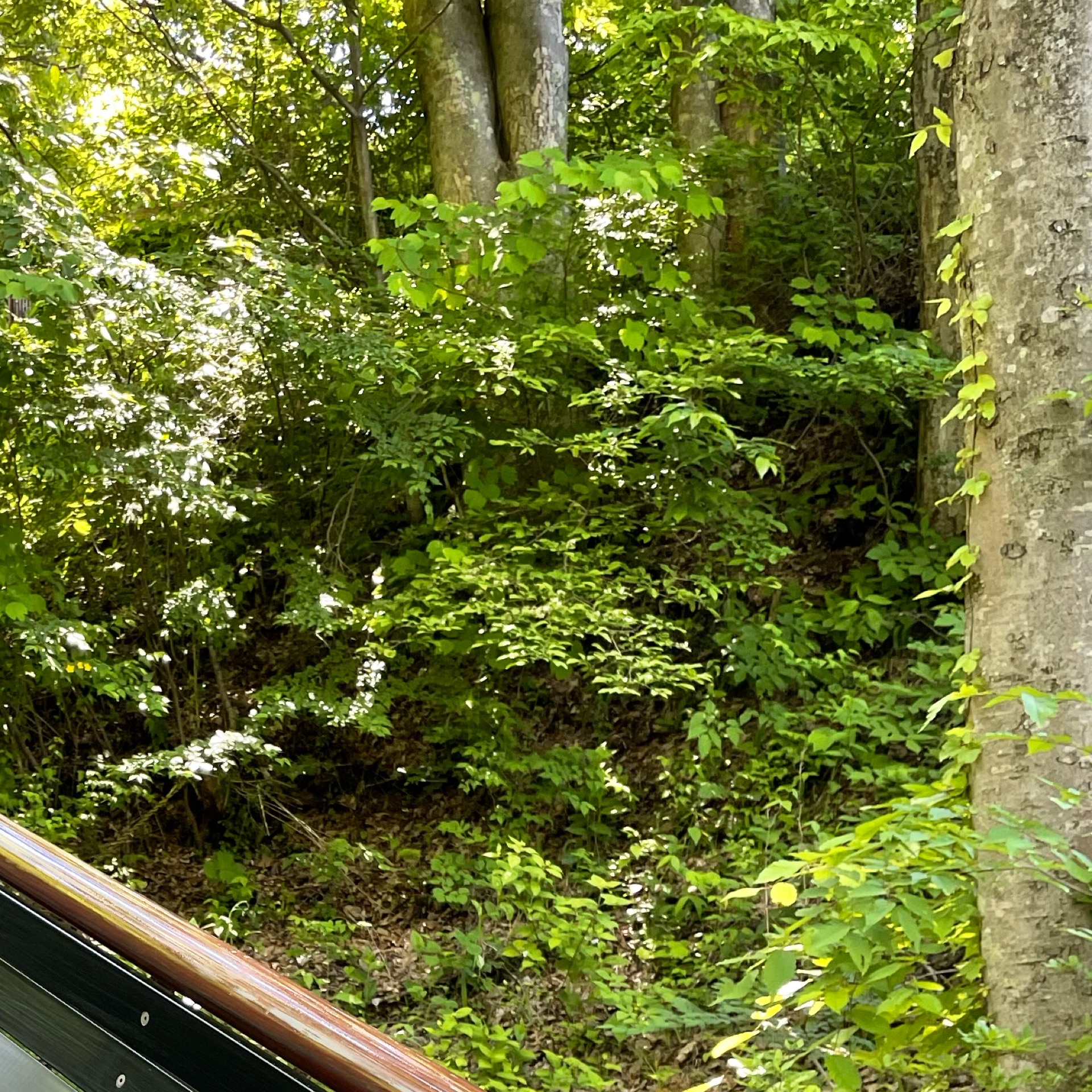 まりのタイムライン642732-11-25 22:53:50投稿画像