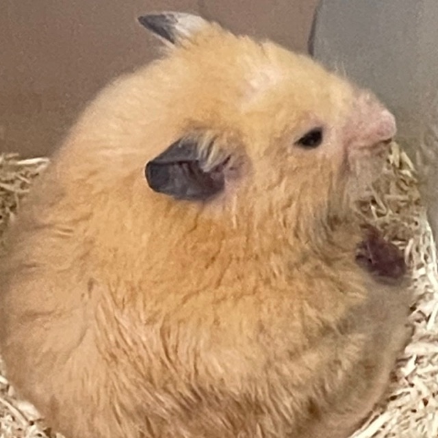 ゆいのタイムライン642736-03-14 03:05:41投稿画像