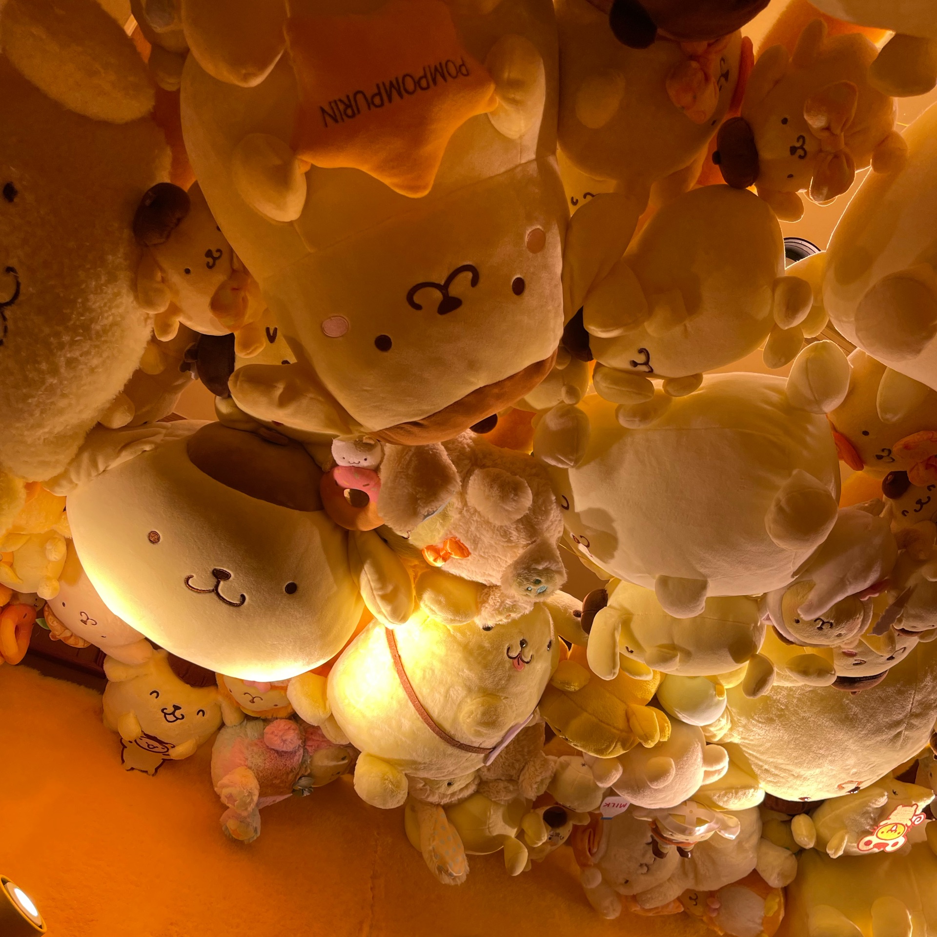 らびのタイムライン642741-09-05 02:50:58投稿画像