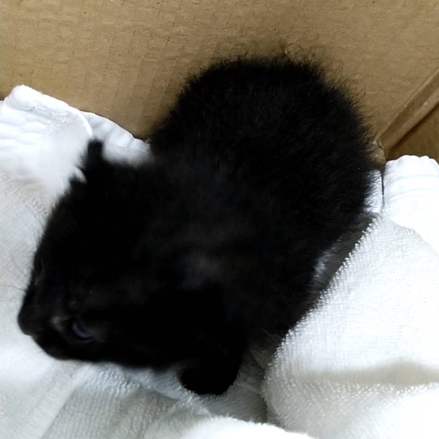 つなのかんづめのタイムライン642741-11-15 05:03:37投稿画像