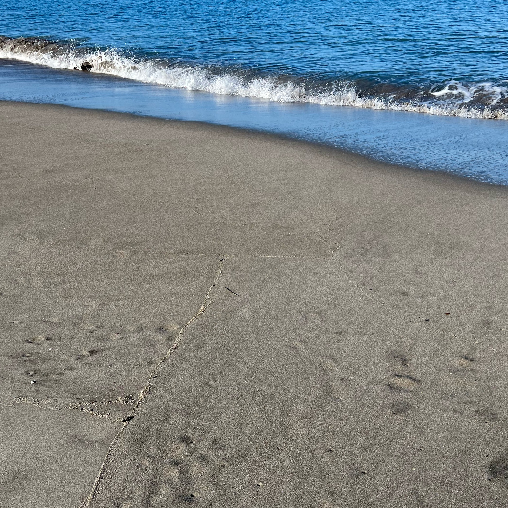 黒狐のタイムライン642745-03-26 21:25:16投稿画像