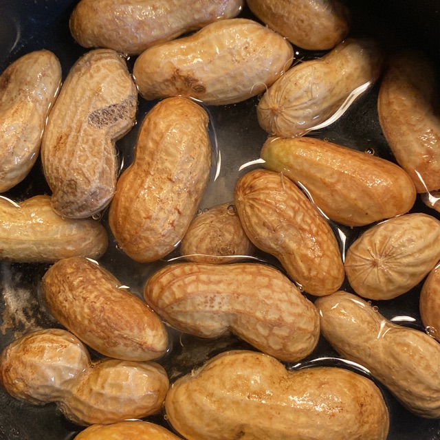 みっぴのタイムライン642745-10-08 13:57:01投稿画像