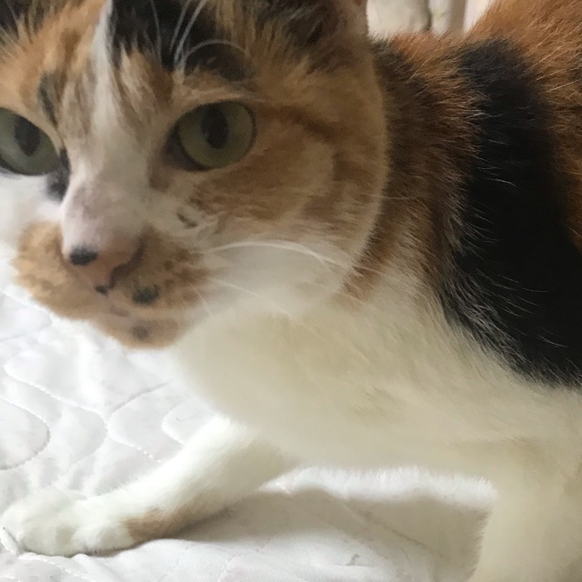 ちなつのタイムライン642748-01-19 07:54:16投稿画像