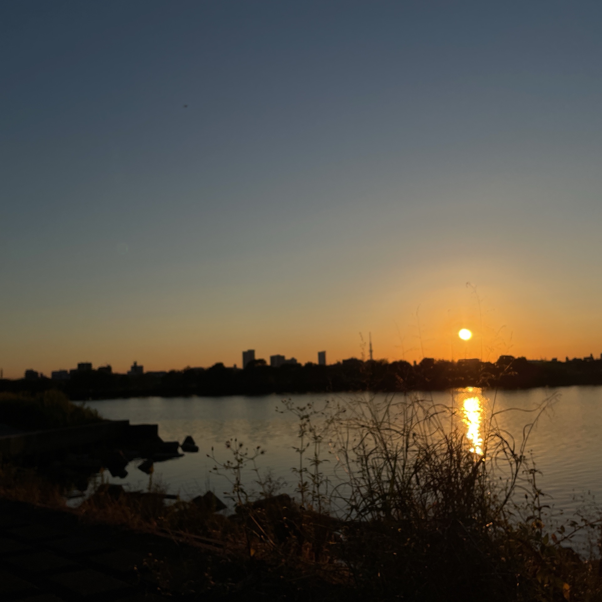 ゆらのタイムライン642748-11-03 16:31:52投稿画像