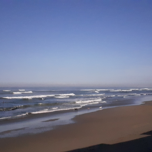 きこのタイムライン642748-12-21 17:35:40投稿画像