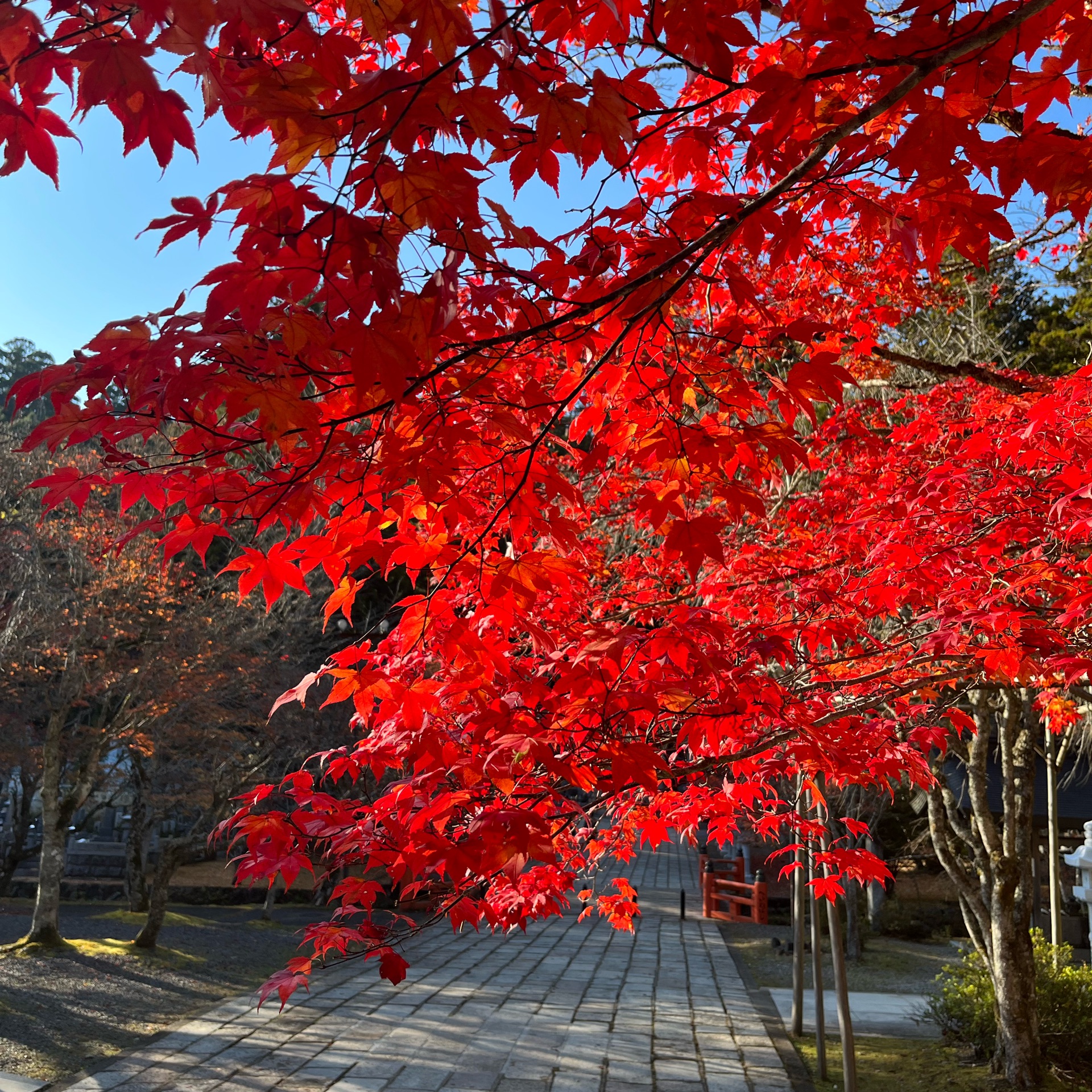 こののタイムライン642751-09-11 16:43:31投稿画像