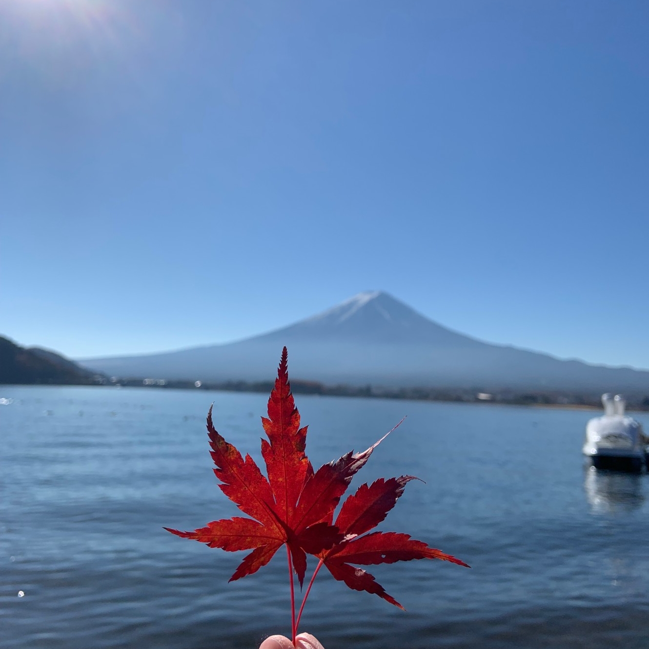 ゆみニャンのタイムライン642752-01-04 15:36:54投稿画像