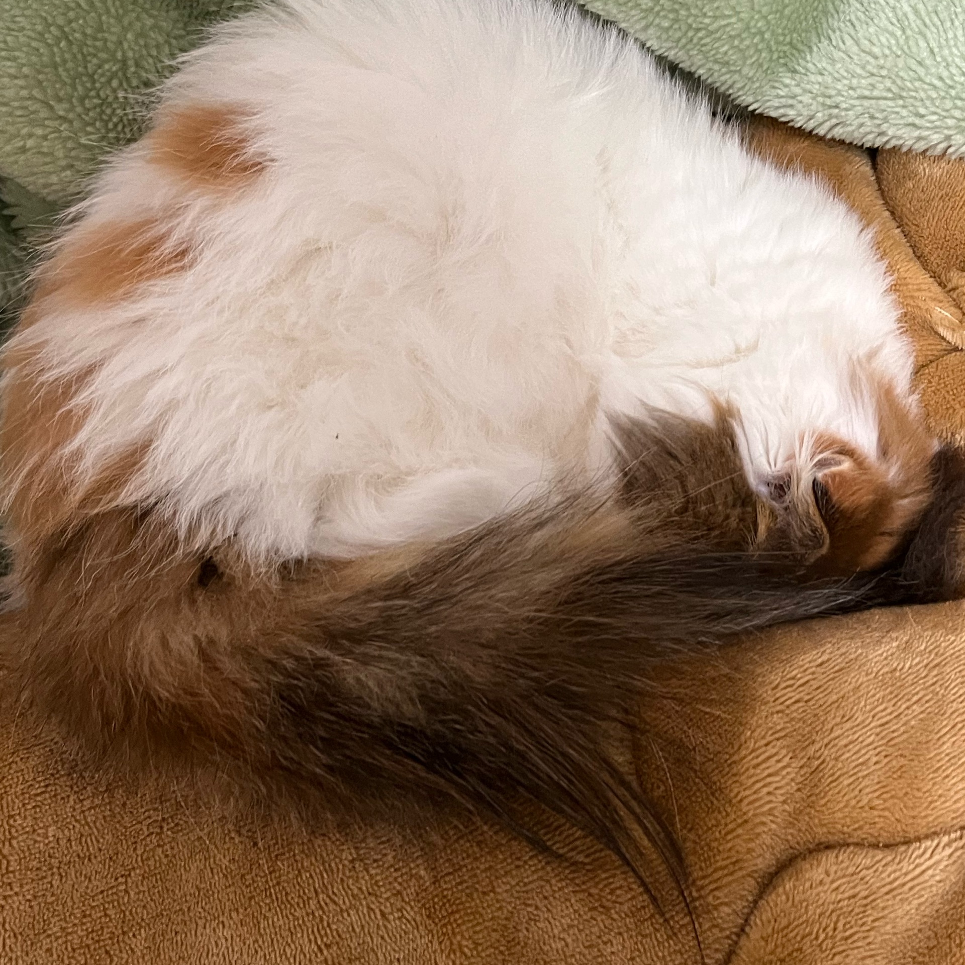 ななのタイムライン643036-07-06 11:20:34投稿画像