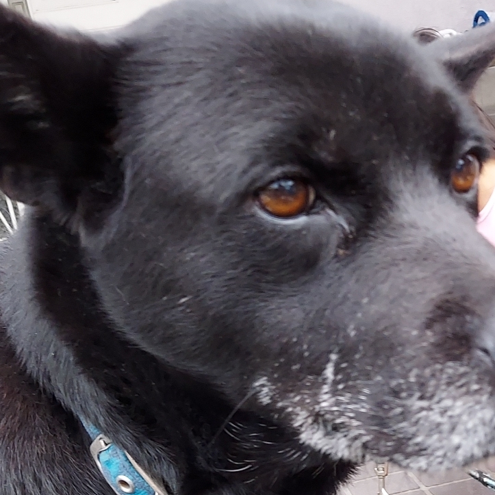 なほのタイムライン643039-12-20 04:28:20投稿画像