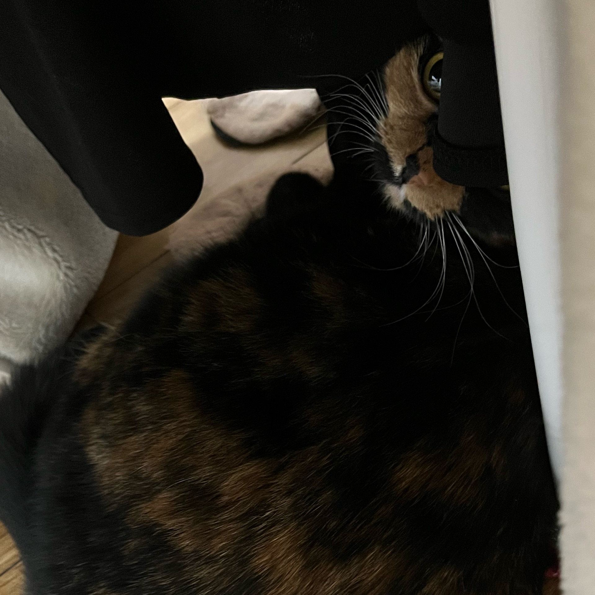 ととのタイムライン643040-05-29 15:26:48投稿画像