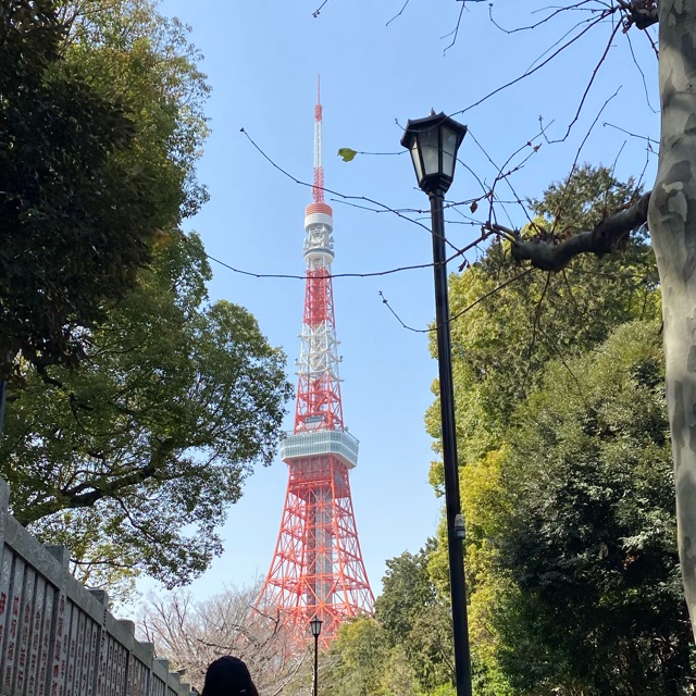 ういのタイムライン643043-01-16 02:07:18投稿画像