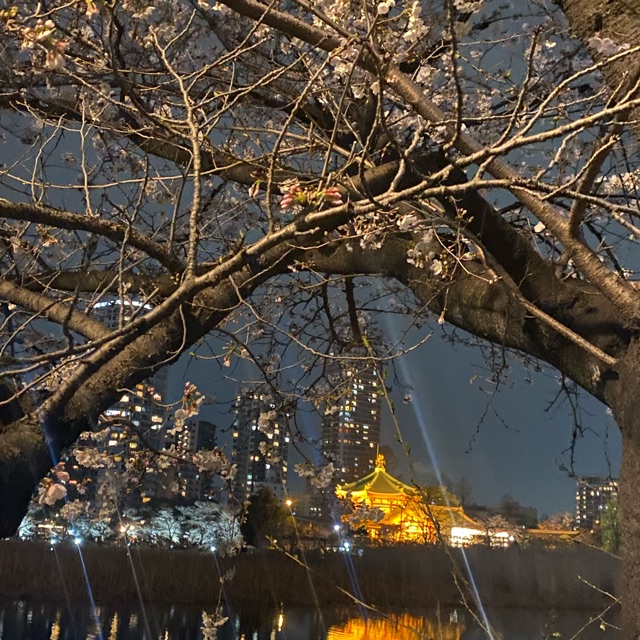 みぃのタイムライン643043-05-11 15:05:03投稿画像