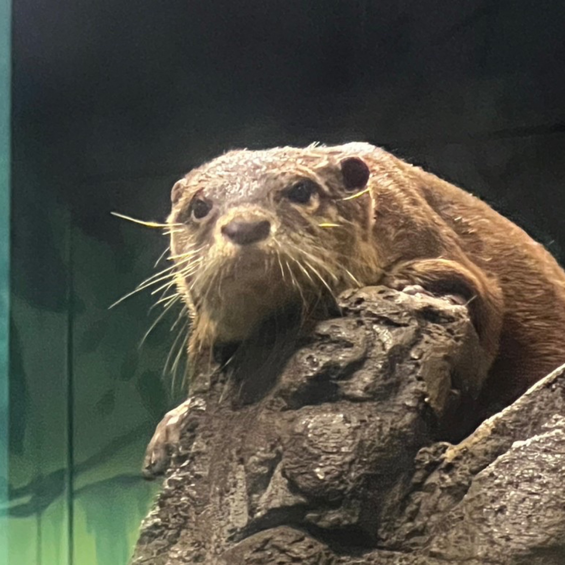 ユイのタイムライン643043-05-22 13:58:48投稿画像