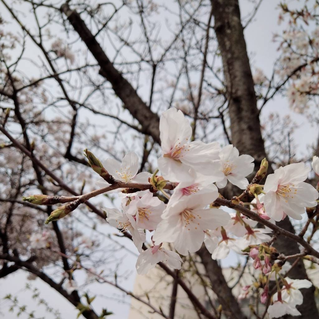 あいかのタイムライン643046-01-19 01:29:09投稿画像