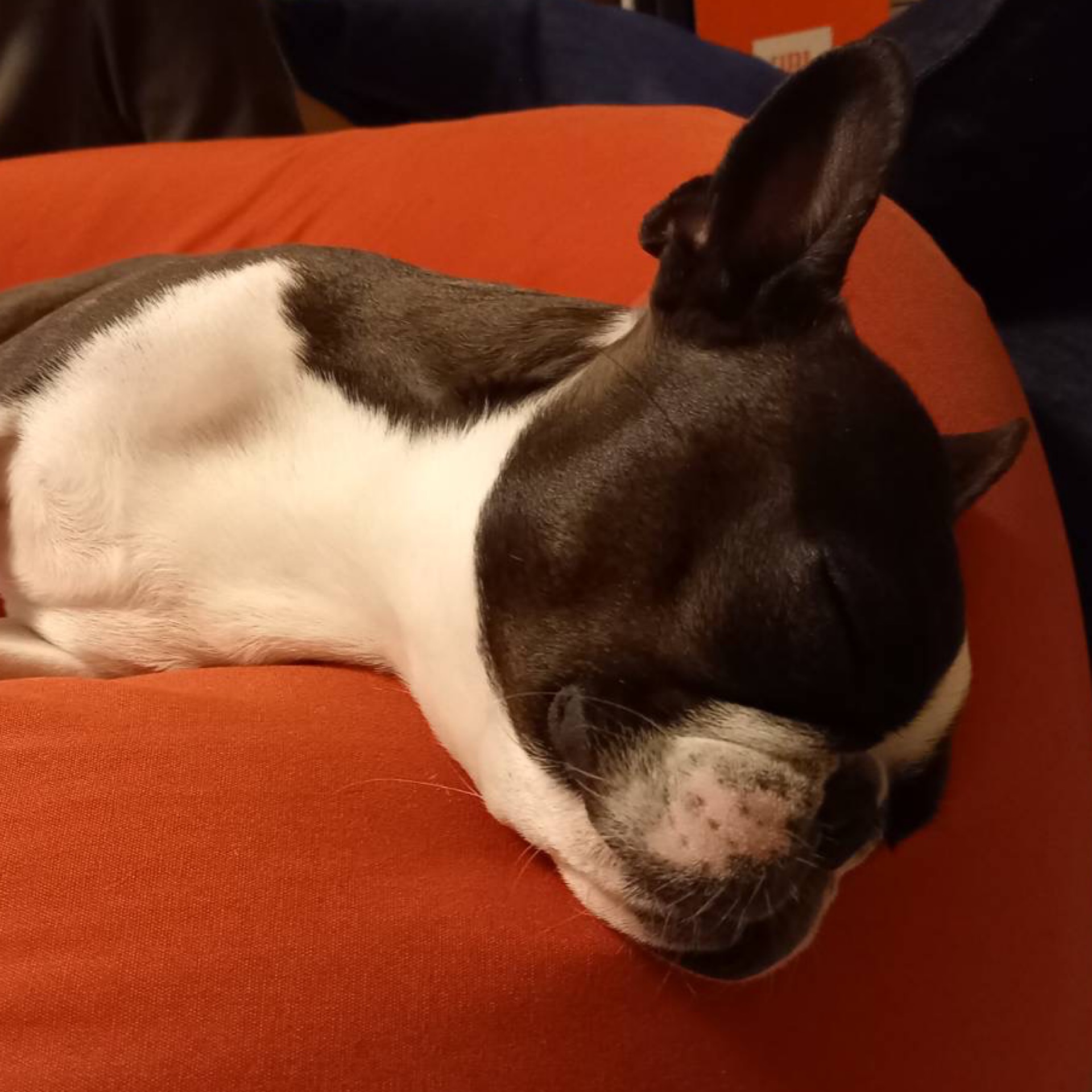 sのタイムライン643046-08-04 00:15:00投稿画像