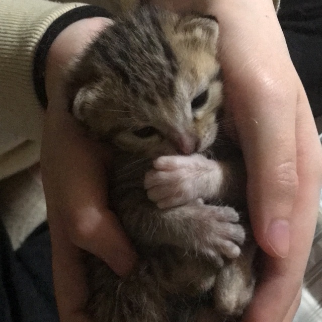 巳穂(みほ)のタイムライン643046-08-27 02:13:44投稿画像