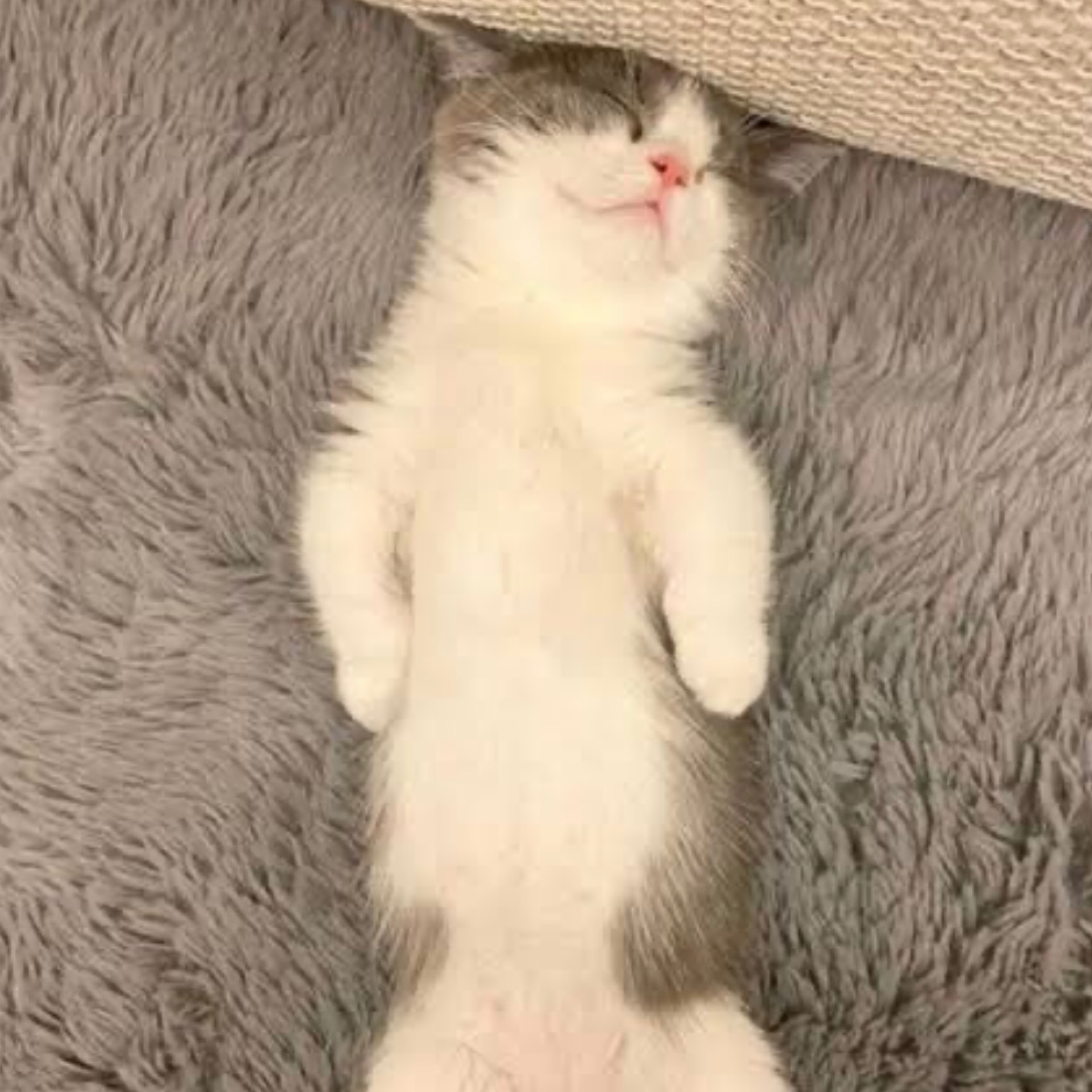 ねねのタイムライン643049-02-03 16:53:39投稿画像