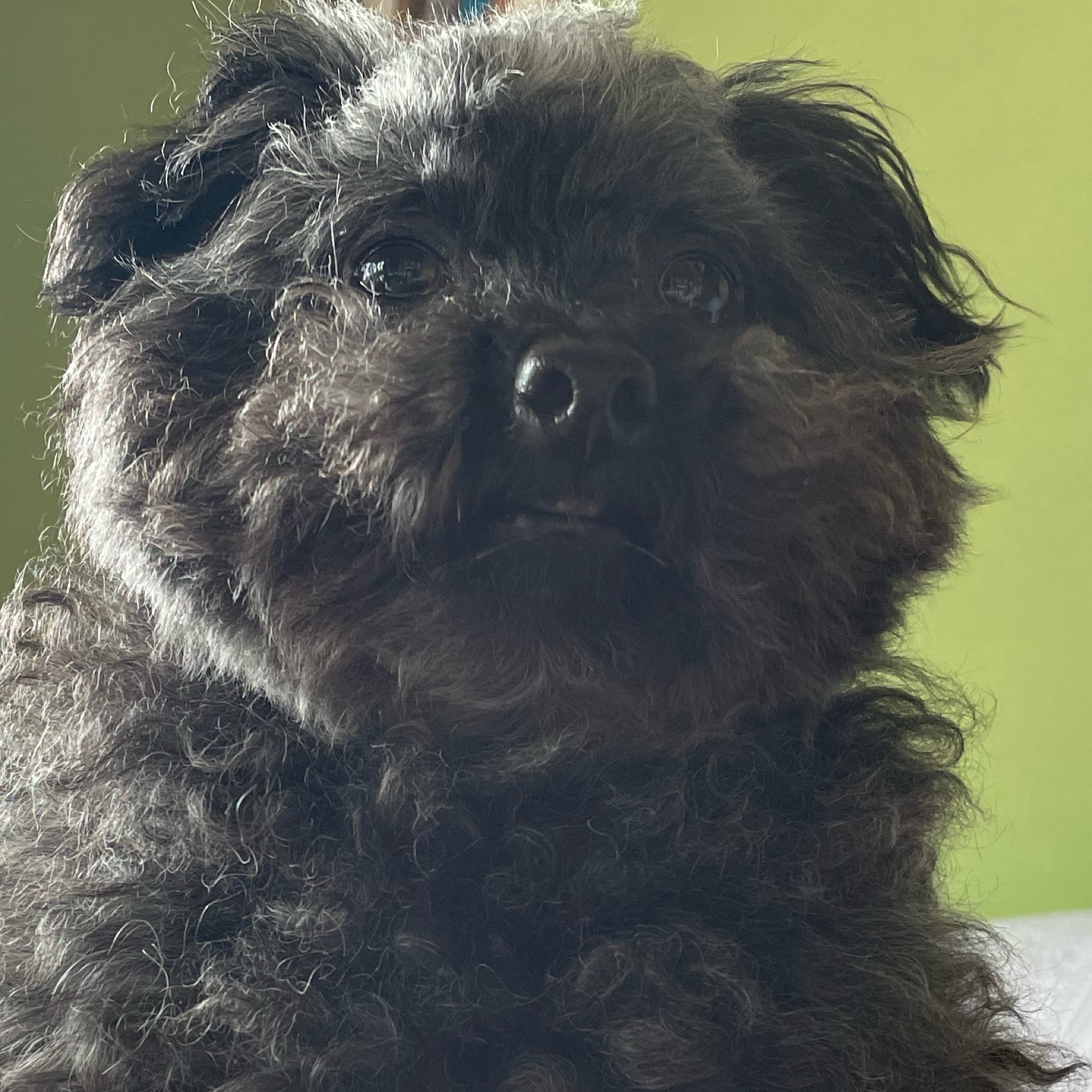 はるのタイムライン643049-05-05 19:45:34投稿画像