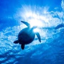 rianのタイムライン643049-11-07 09:15:21投稿画像