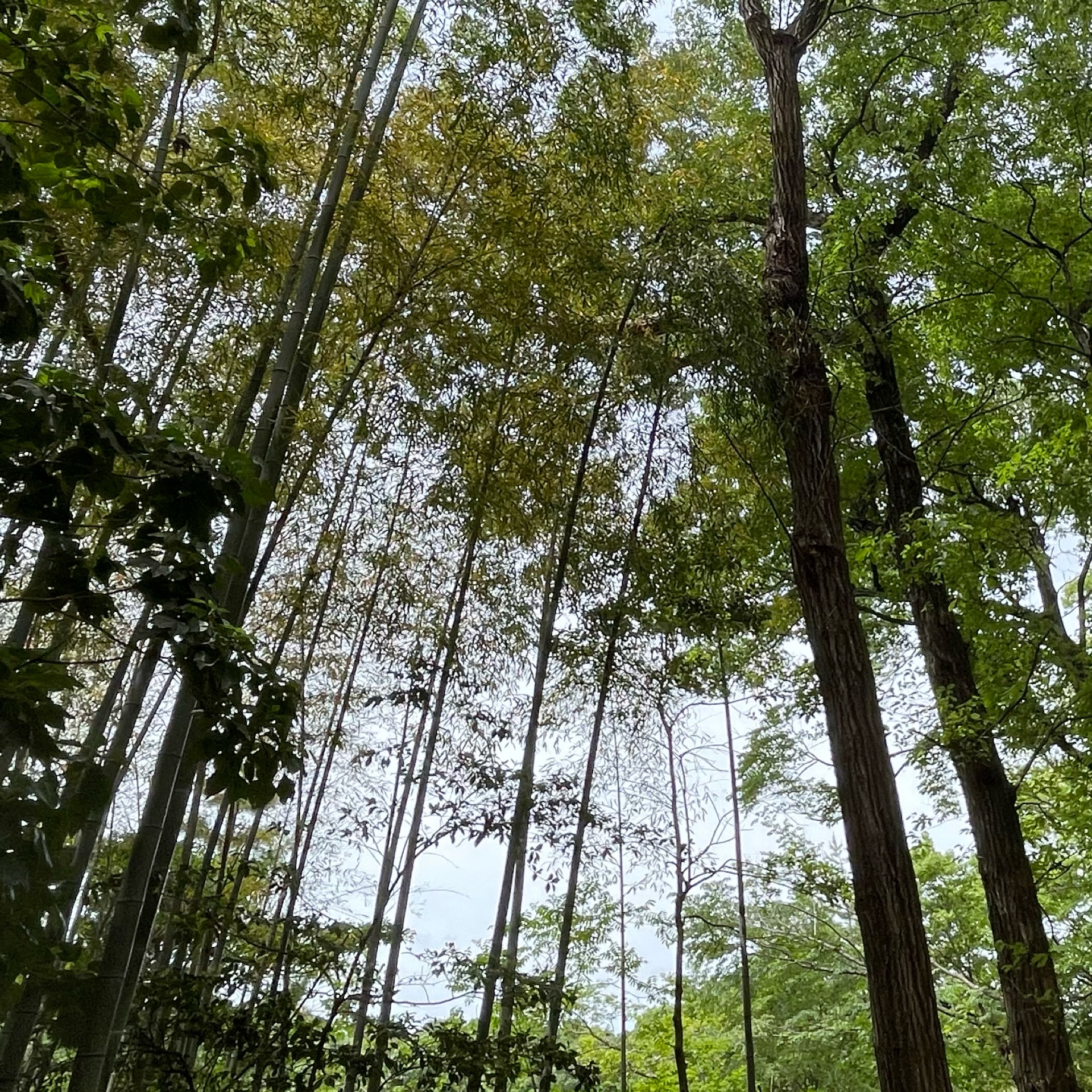 ちいのタイムライン643050-01-04 05:47:33投稿画像